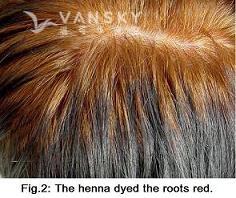 231006132824_Hair-Dying with henna-s.jpg